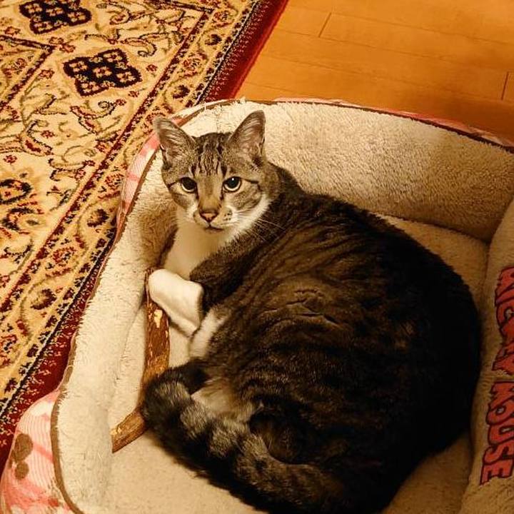 6b35cc0b 6aa5 44c8 ac5a 418a45d7ecb8 1713243336475