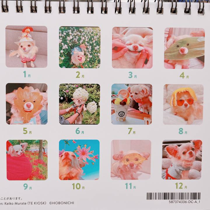 6b363d0e 80b5 4759 9f34 996312f220f4 1671085199874