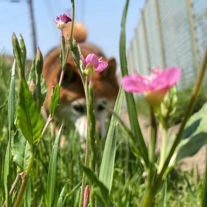 6b3642c7 4655 434e a526 2e36e4da3f7f 1684373165419