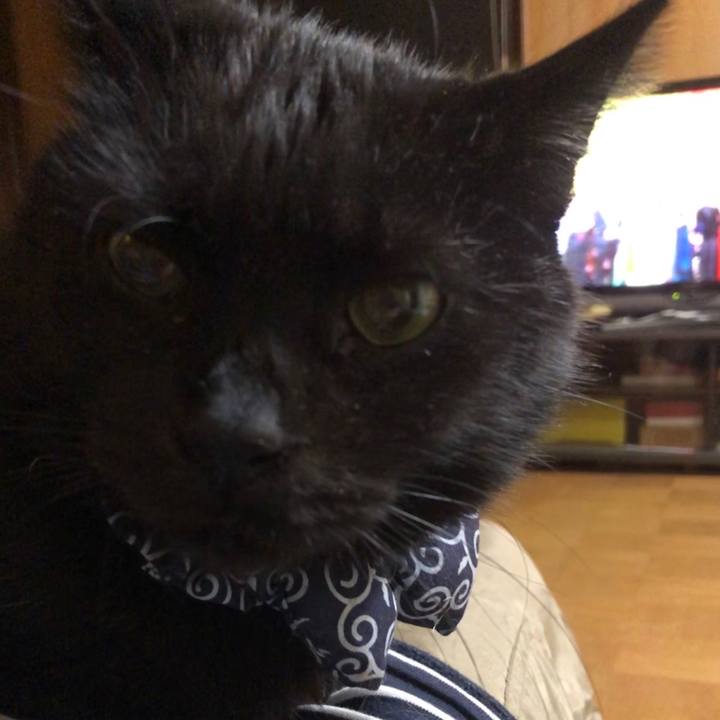 6b364de4 096e 421e b1a9 c25823f4bb71 1577803982109