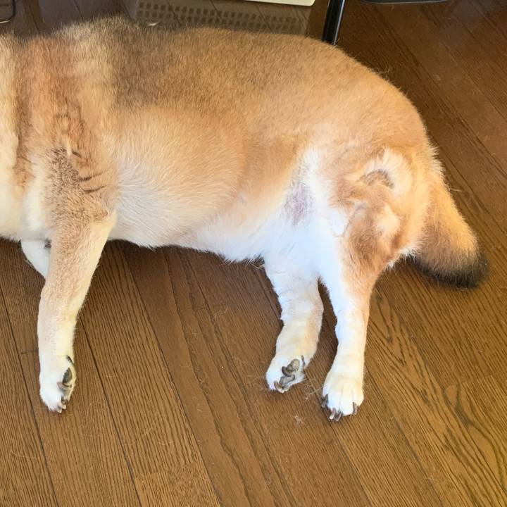 6b369f51 9659 4042 9ba6 767b60c14d04 1632373945292