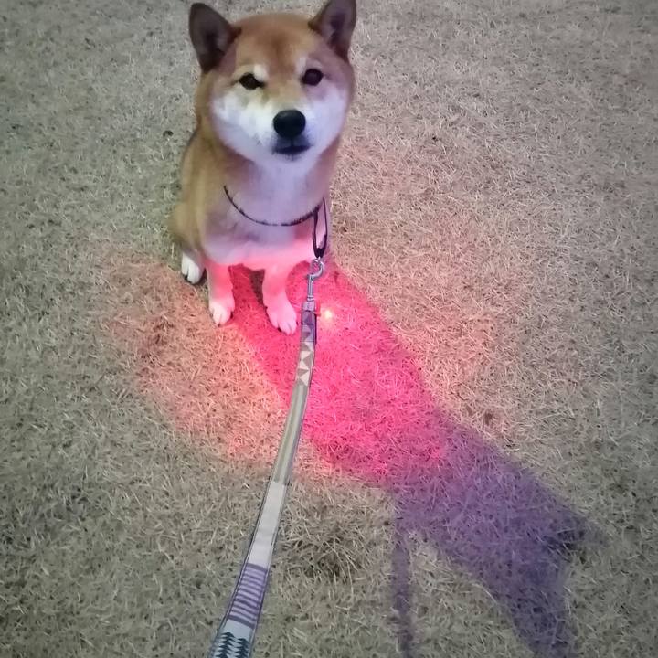 6b36b97c 955f 47d7 a74d 479505d52b14 1582191257625