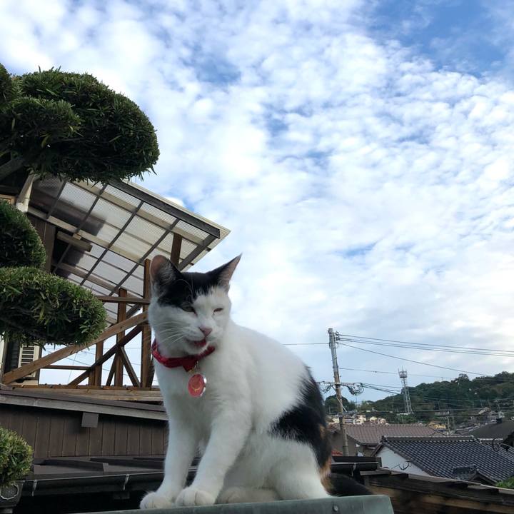 6b36d645 9900 4537 9e32 8f3307b79636 1631401391553