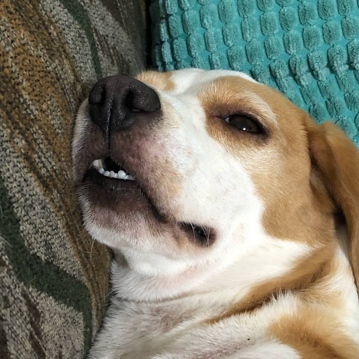 6b3702d4 5e93 4e43 a533 f9dec388dd12 1658419068174