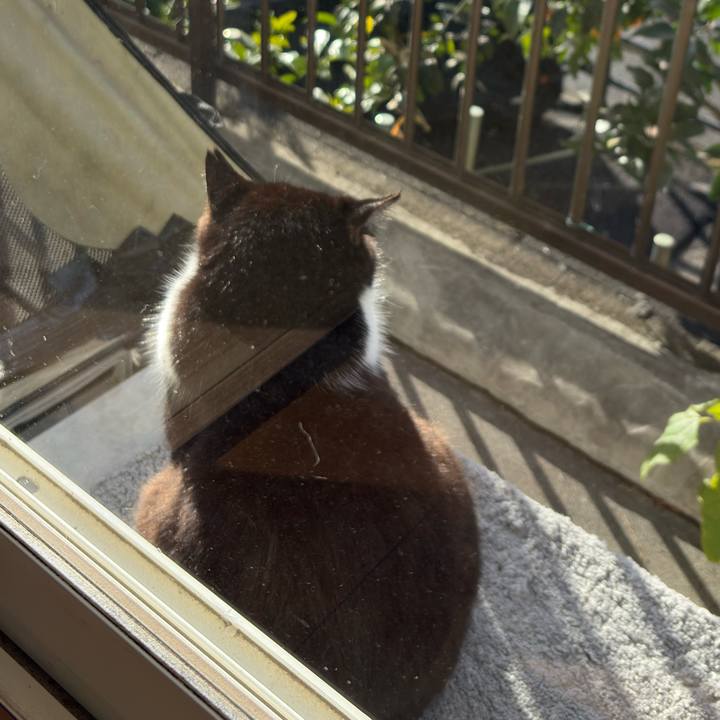 6b3703e2 b9c6 4b93 aa48 64017ea81c67 1766715000491