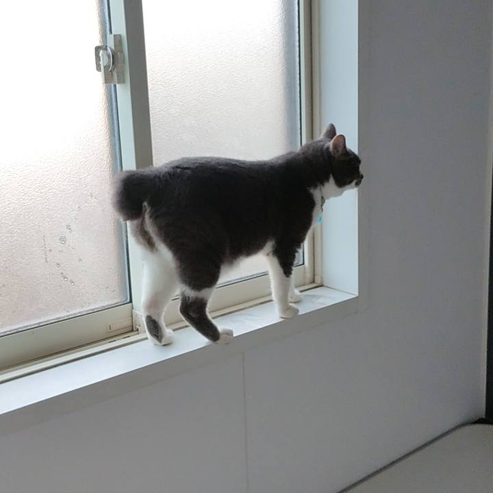 6b374f99 85e7 4308 8f81 fdf2ee5af73c 1721945419323