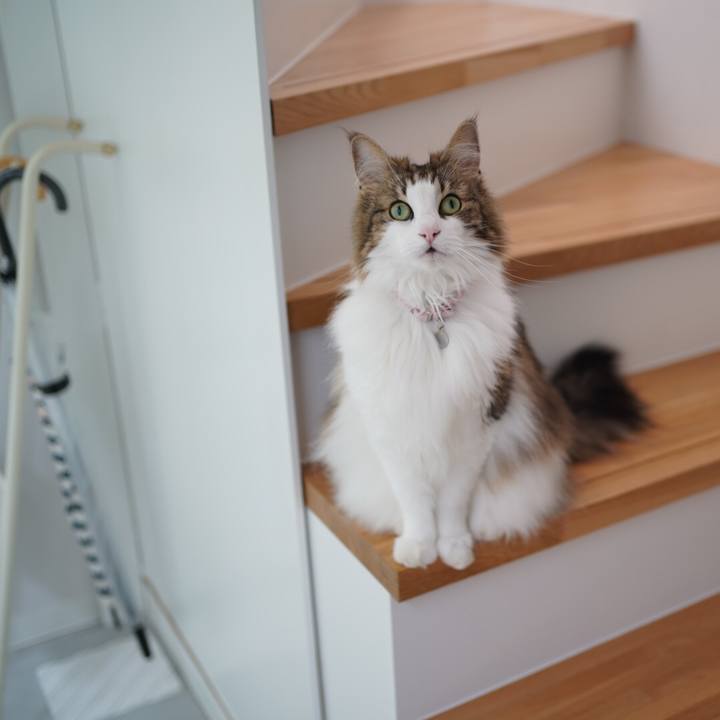 6b379e3f 14de 48dd 8243 2f54d68bba98 1593148922215