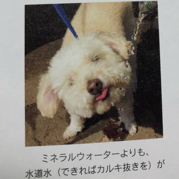 6b37bee3 d31b 405b 9a1d 397d1b2d6da4 1578117218598