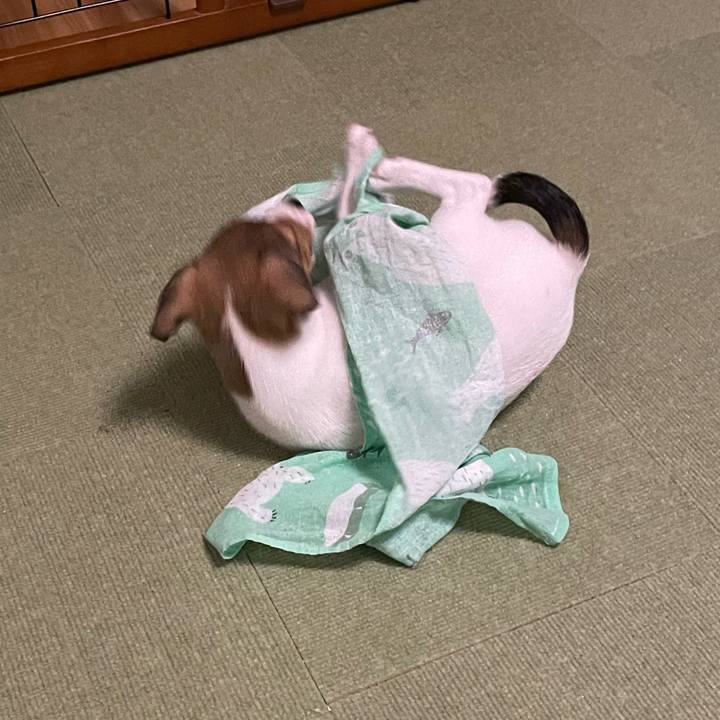 6b37ca0d cbaa 4cc7 acbb 6600303c8612 1666354420587