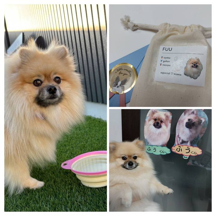 6b37e2d4 e2d2 462d b403 952e890cdab8 1704623970701