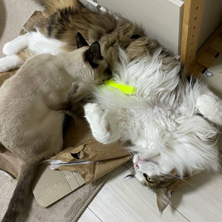 6b37e465 8948 4efc ba08 9217c3df732b 1707247213132