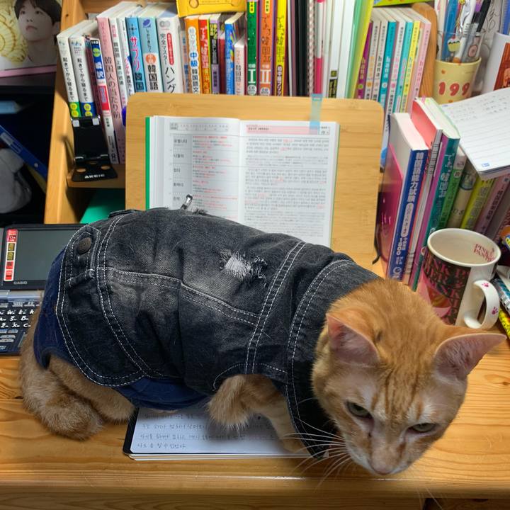 6b37ebb6 cacc 40d7 8a6b 2d4907b9b575 1624049774975