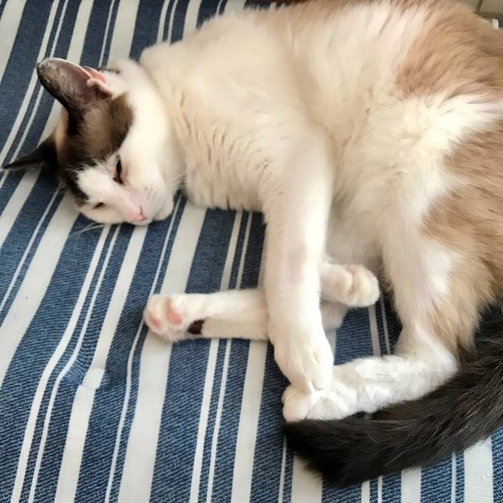 6b37fe3e b013 4530 80a9 38468b3bc285 1592602928061