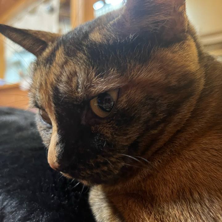 6b380592 2633 4939 9ad3 3162b84a9713 1756039099284