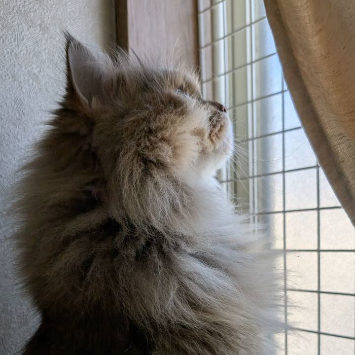 6b380717 c9ba 40cc bf2d 48d51e60e09e 1764975454264