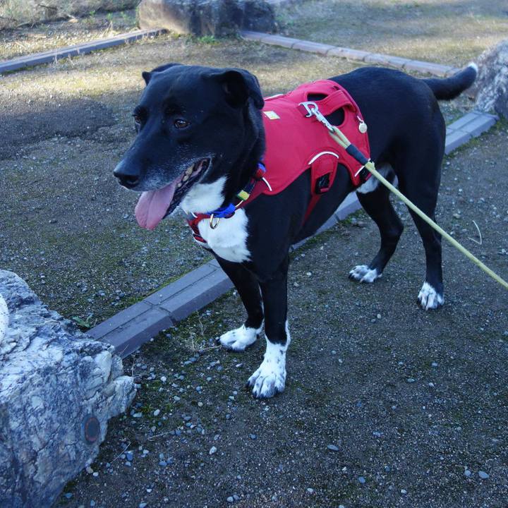 6b382ee8 b224 4cb9 a971 e069fb3110f9 1666229084477