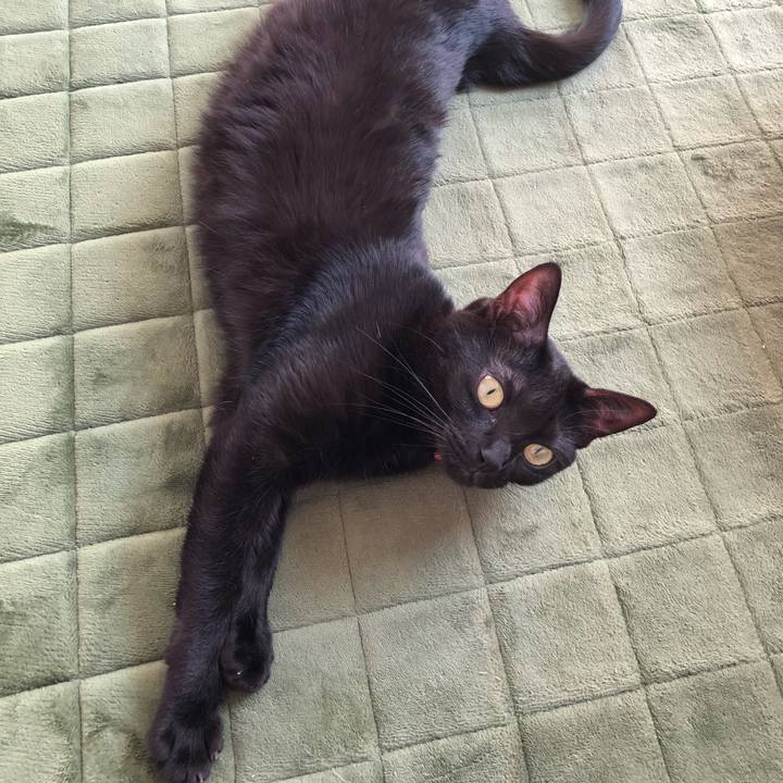 6b382f54 b30e 4d93 b304 2f92568ca2c1 1550633836077