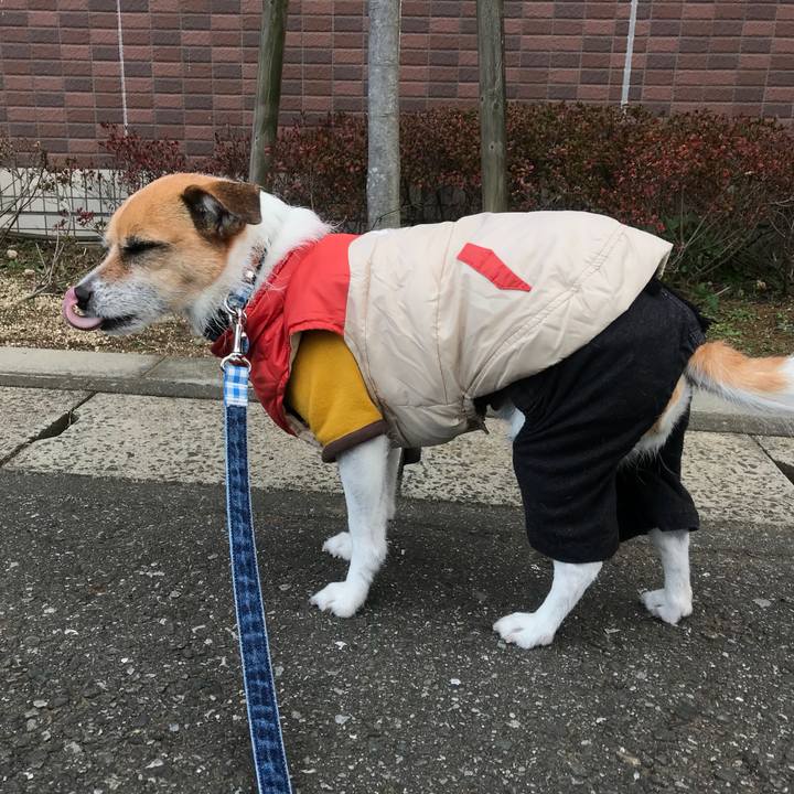 6b38355d 9e40 487b b6b7 0c8a2bcad297 1517358405514