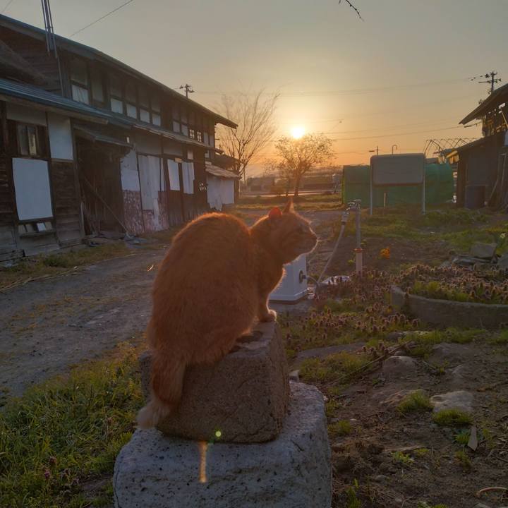 6b383a19 c06c 4e94 8070 e89242958fd5 1682369962792