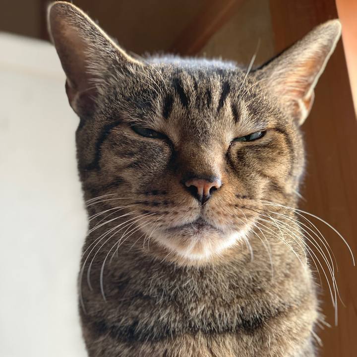 6b389166 d9e6 4278 8873 a63f120151de 1580002910334