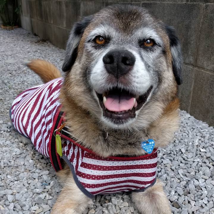 6b38d34c d1d7 45b8 960d c5f9cd8ed5c9 1755909428450