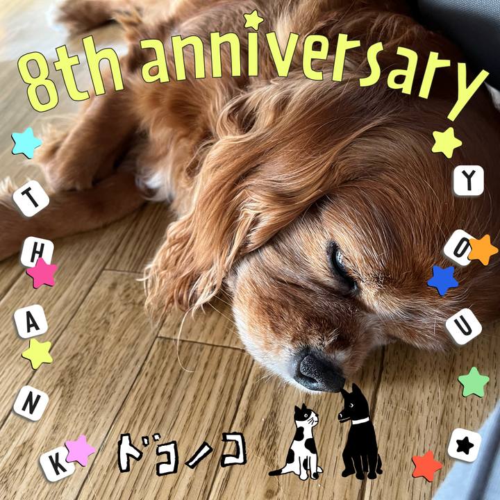 6b38d92b e980 4b9e 9264 7bf60fe5ed5f 1717626152761