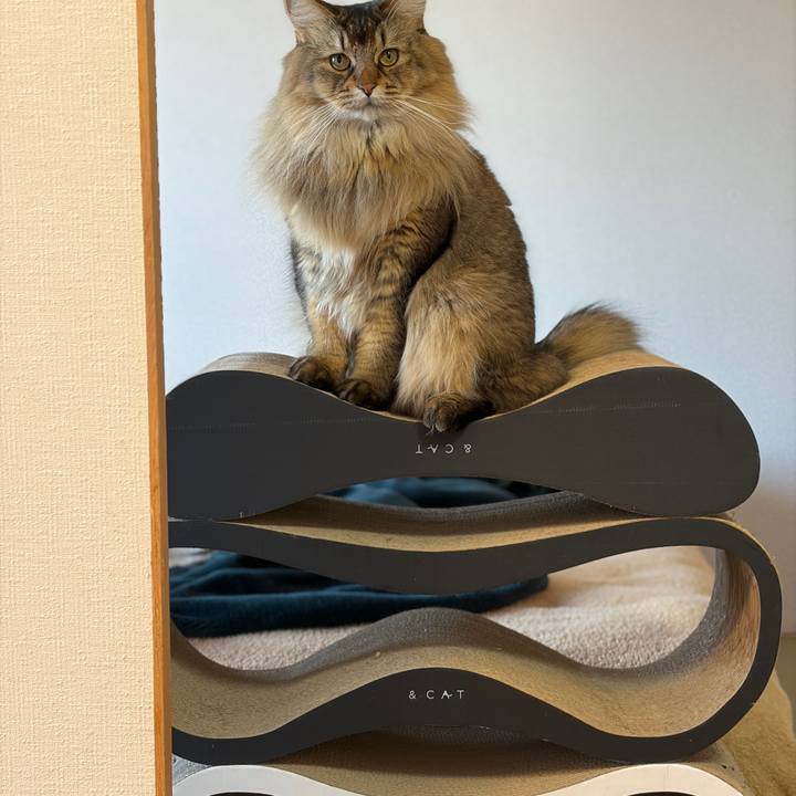 6b38df1d 741f 47ea 8321 555acb112448 1768861540067