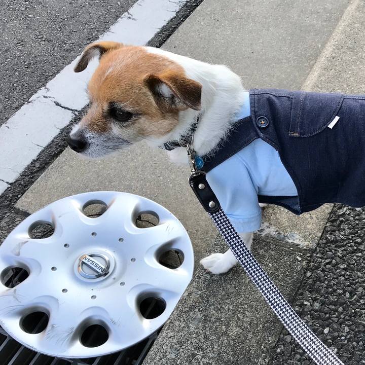 6b38e17a eec4 4703 b91c 78cbe27a9f72 1553587208251