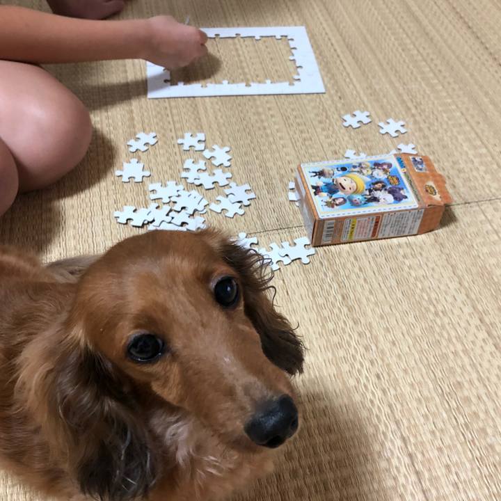 6b3952a7 1031 4e38 84b2 325824f5979a 1536483004164