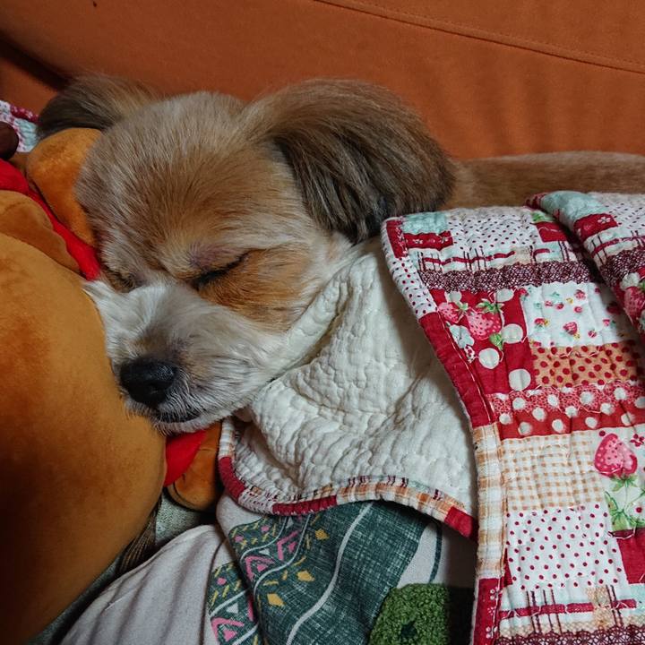 6b3953ec 0d80 4aa7 b527 02c72ac025ce 1597926547469