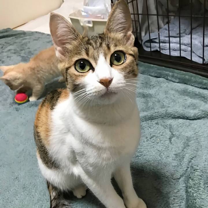 6b39604b bca2 4480 bfd2 e81ea0758482 1755579089640