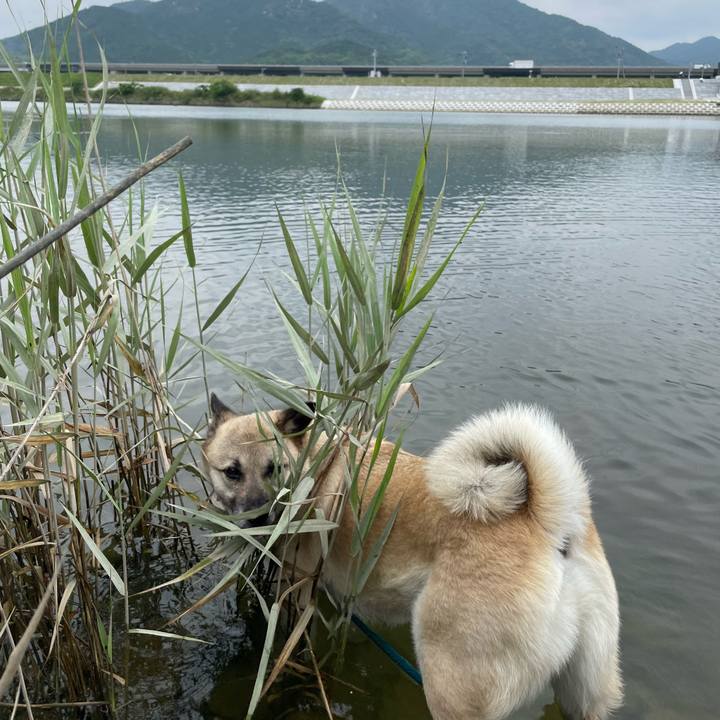 6b39625a aab5 41d5 b32f 146f9623d820 1687077910445