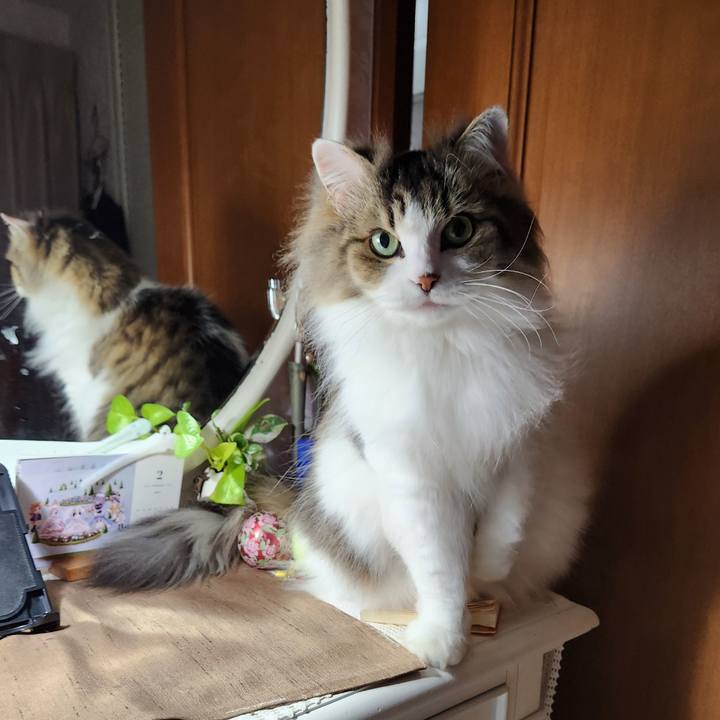 6b396a48 432b 4e01 b96d a0e137e57e74 1707699919371