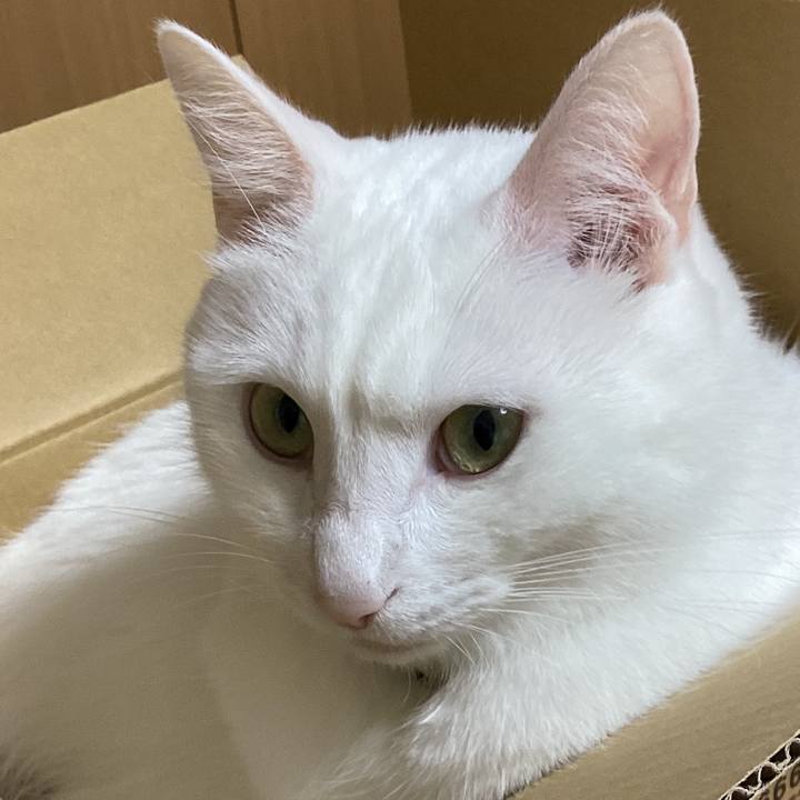 6b3972a4 a92b 45e5 afcb 5070280f0e75 1685916797827