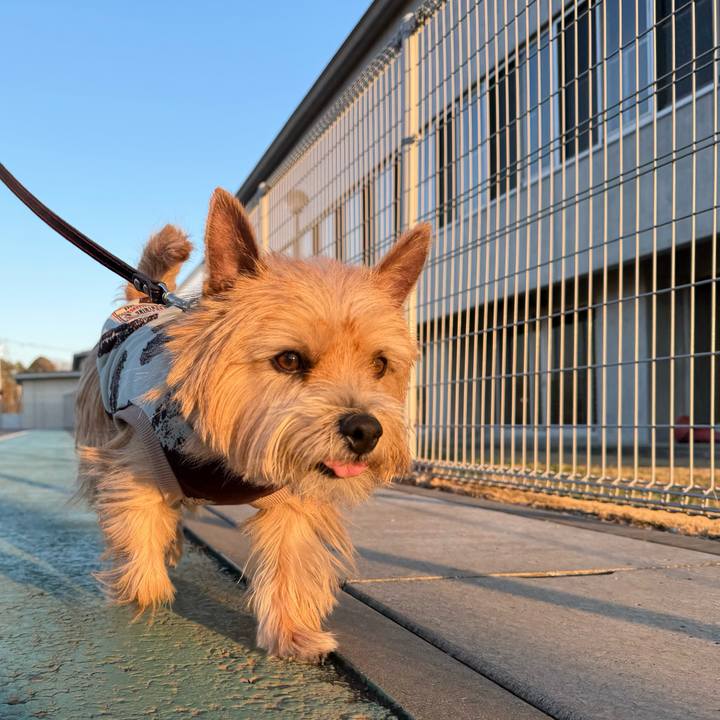 6b39d1da 35c2 4b2e bd46 12c6d9e40cfb 1767034246786