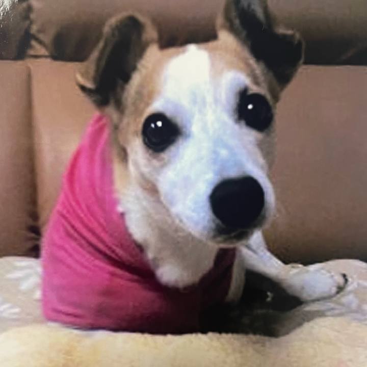 6b3a0705 f6d0 4074 baa6 38fe5f6bbf76 1677683667355