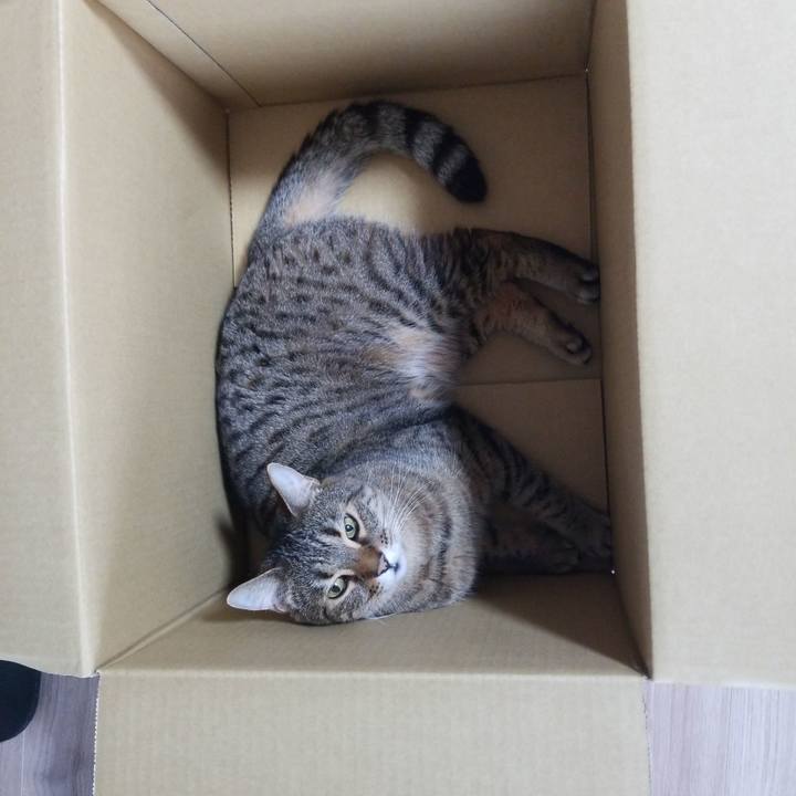 6b3a580b 95d2 445a bfa9 46755df5f678 1592005836659