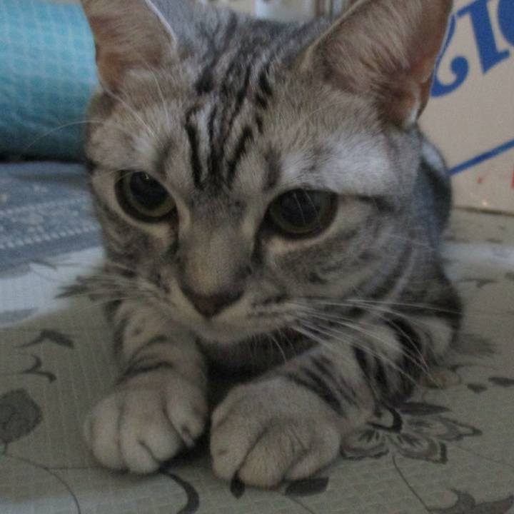 6b3a704c 60e8 496d b1e6 23fb8c5ae69f 1566471693491