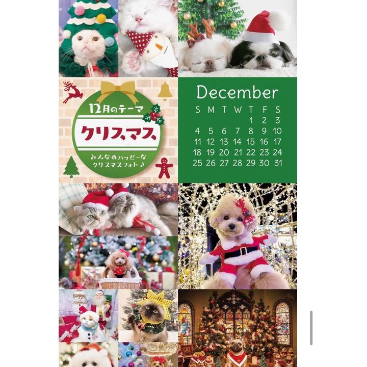 6b3a7252 6efd 413d 92ae 26928dea9da2 1641253843523