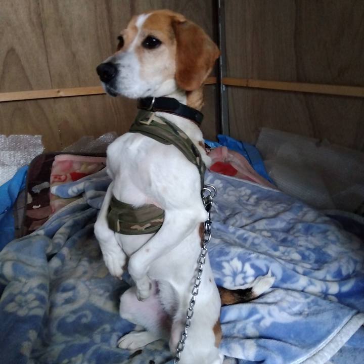 6b3aa01b e16b 4ba3 ba0c 23f5e4d4c0a5 1684765198606