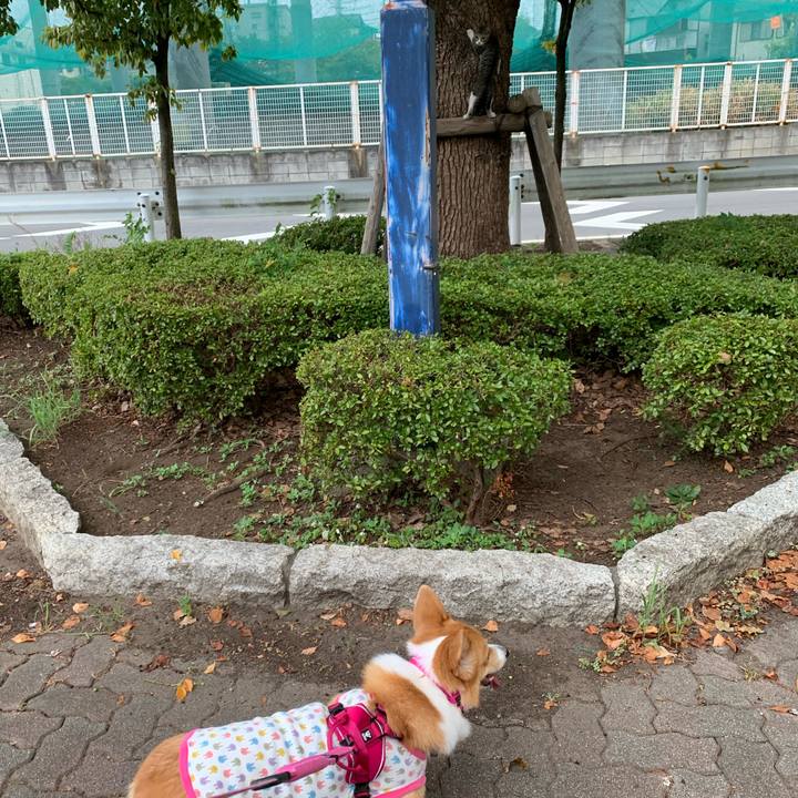 6b3ad166 17be 4df8 b691 643935c3c4c9 1598997297411