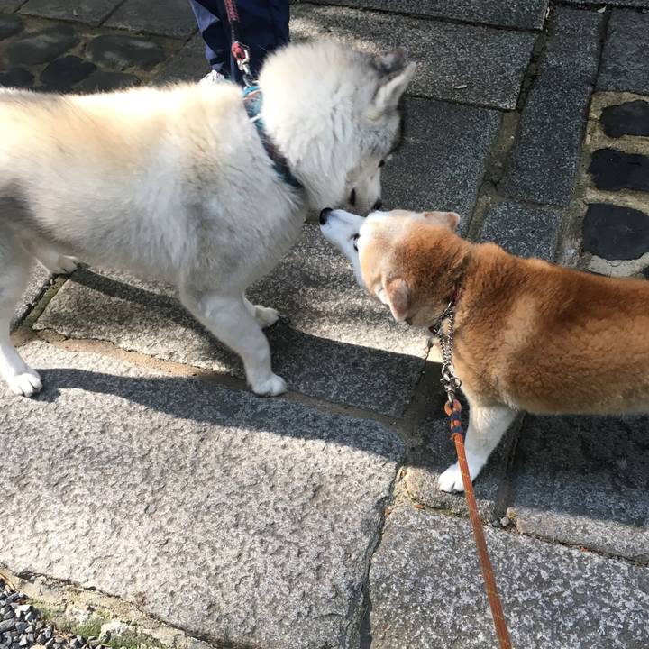 6b3af649 c7de 4141 b6d4 cf0ea1917813 1525587905417