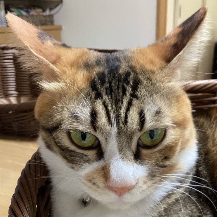 6b3b07e5 3936 4b81 bad7 fa29d0d7b3f8 1695683975101