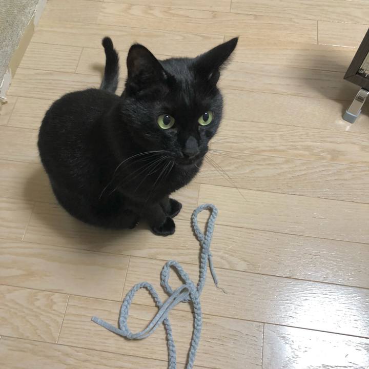 6b3b125a 3aa2 4d93 a21d 43295c5d309a 1612532159223