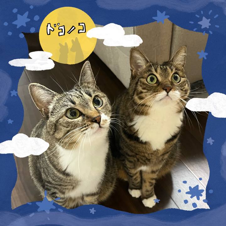 6b3b2e66 0474 46d3 a2da fa9c3990e670 1727276539932