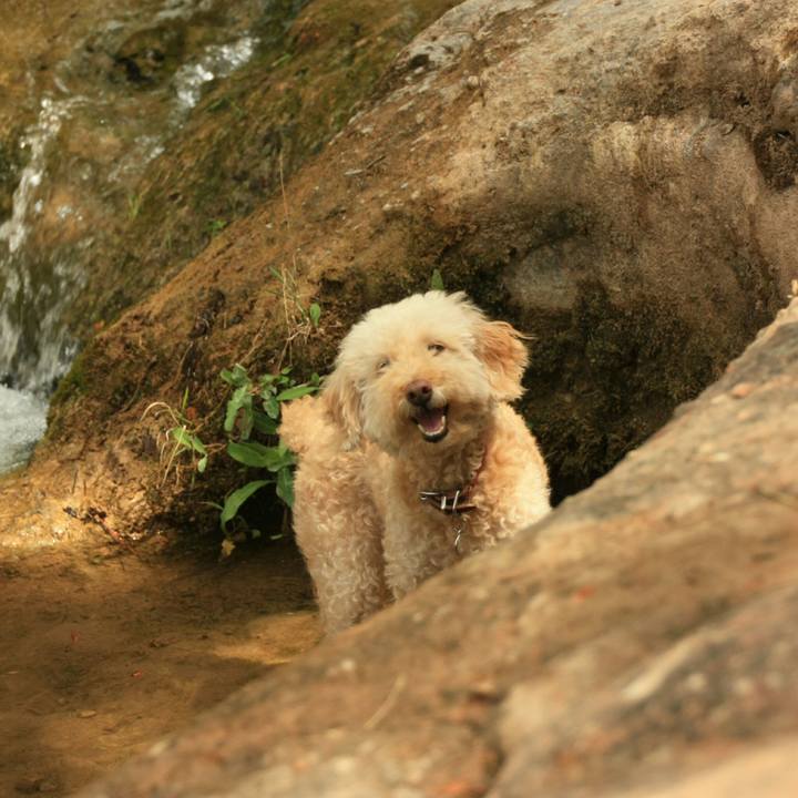 6b3b4c56 61c3 4404 9405 f2178cea55fd 1533574439653