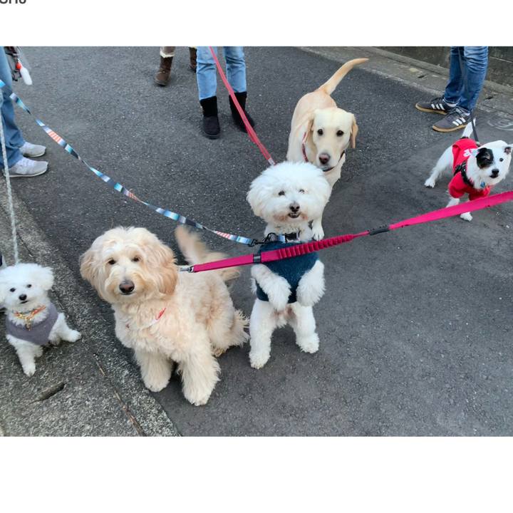 6b3b866e c823 4db6 a294 5fe2860eda6a 1735974867500