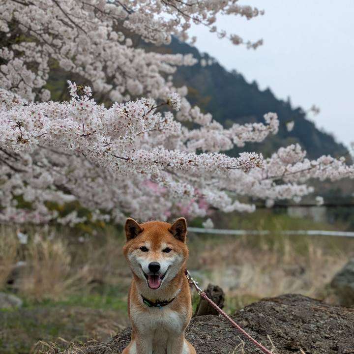 6b3b90cb 9e67 481f 8d4f cb7a8baf8001 1745408259312