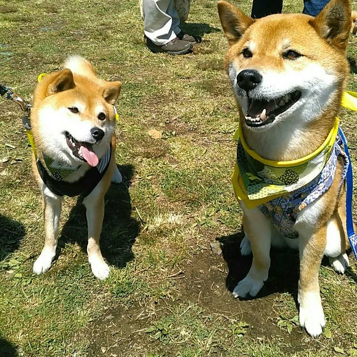 6b3bd3d7 b44a 4758 89d1 018a5b91a031 1555168091825