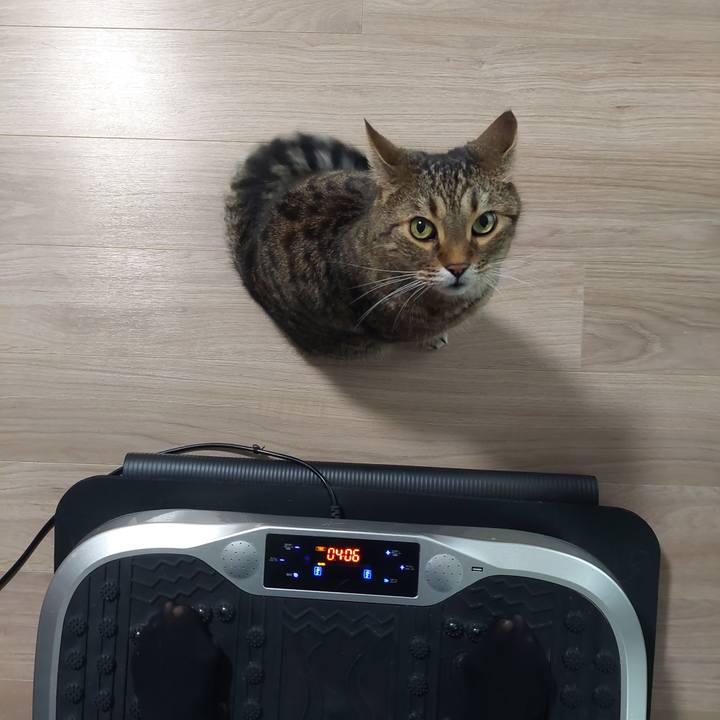 6b3c12d0 54e5 4e49 8dd0 46ca4702500c 1626817521112